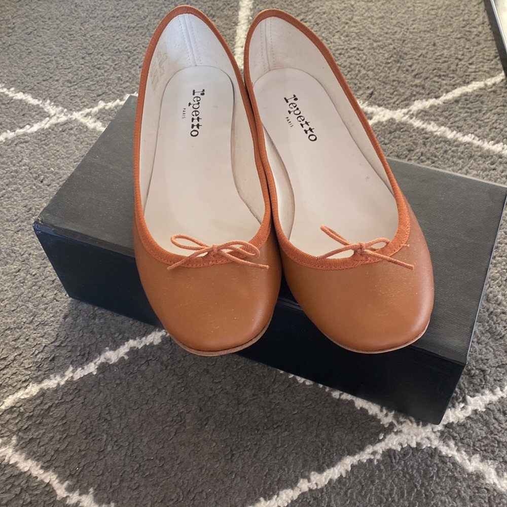 Repetto cendrillon leather ballet flat
